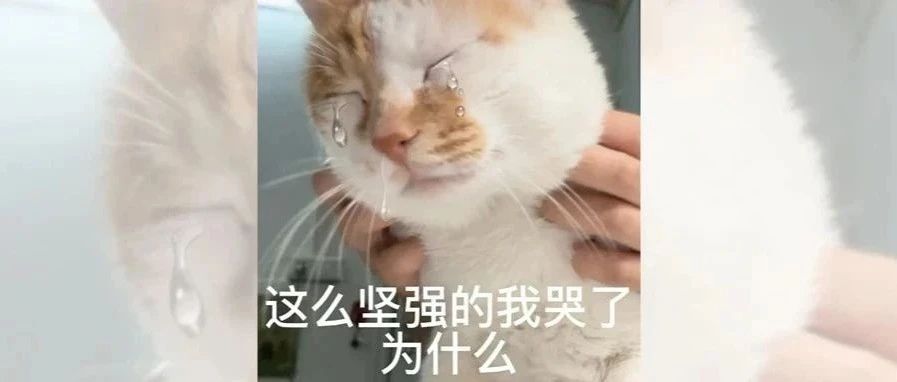 &sup2;⁰&sup2;⁵/₀₃.₁₅雅思考试回忆丨雅思，你让我感到陌生！