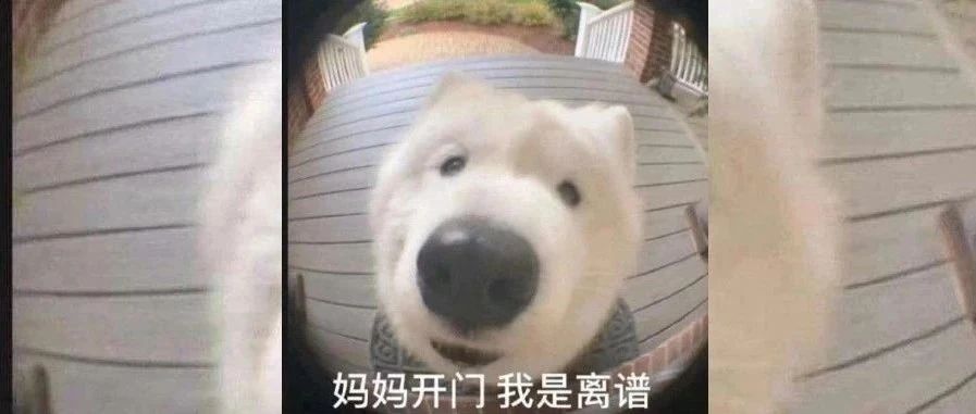 &sup2;⁰&sup2;⁵/₀₁.₁₁雅思考试回忆丨我把雅思装兜里，雅思把我踹沟里！